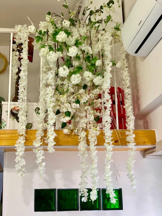 Apartmán La Finestrella Dell'Arte Un Orizzonte Da Guardare Anzio Exteriér fotografie